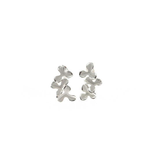 Silver 925 Earrings