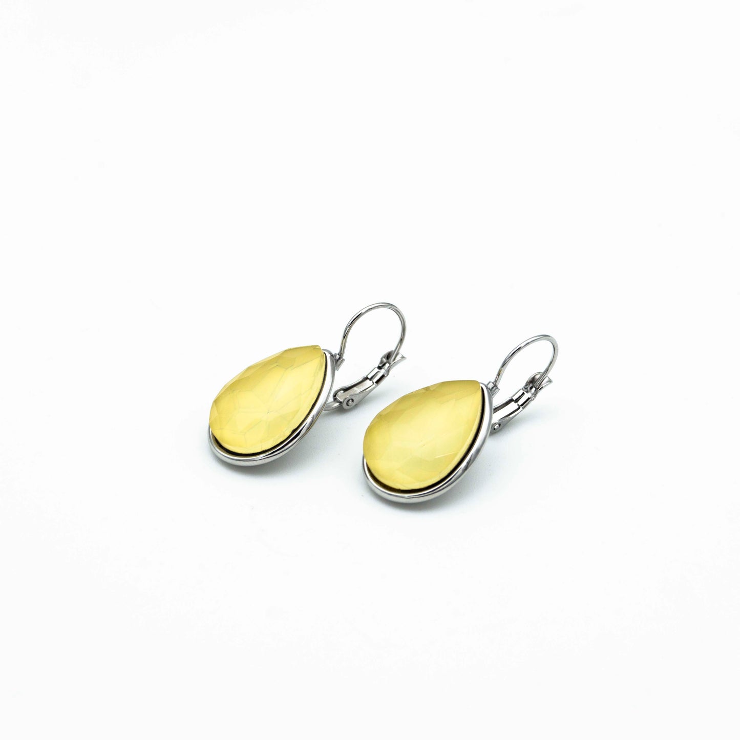 Stainless Steel Earrings