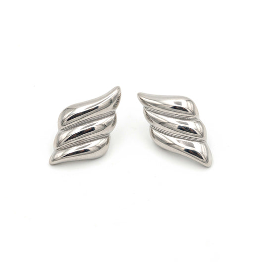 Stainless Steel Earrings